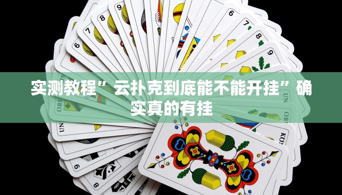 实测教程”博雅红河开挂神器”确实真的有挂