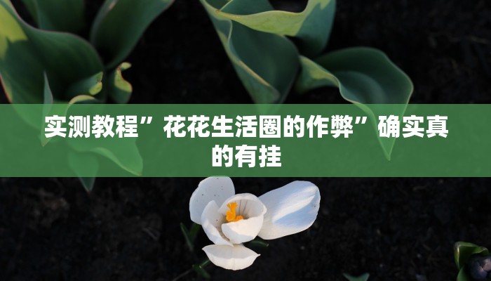 实测教程”花花生活圈的作弊”确实真的有挂