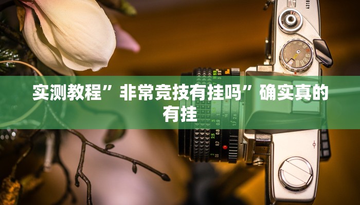 实测教程”微乐双扣辅助神器开挂”确实真的有挂