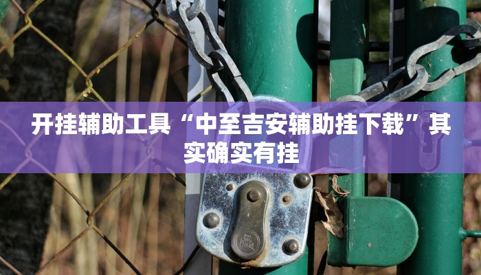 开挂辅助工具“中至吉安辅助挂下载”其实确实有挂