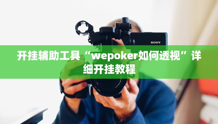 开挂辅助工具“wepoker如何透视”详细开挂教程