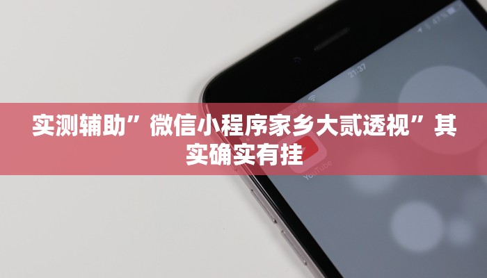 实测辅助”微信小程序家乡大贰透视”其实确实有挂