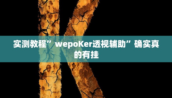 实测教程”wepoKer透视辅助”确实真的有挂