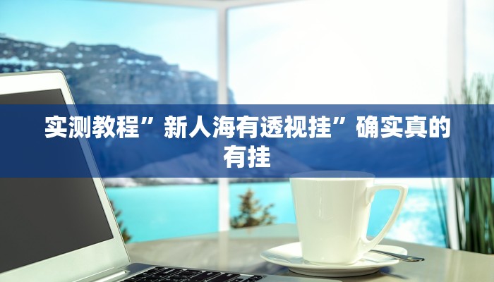 实测教程”新人海有透视挂”确实真的有挂