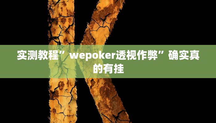 实测教程”wepoker透视作弊”确实真的有挂