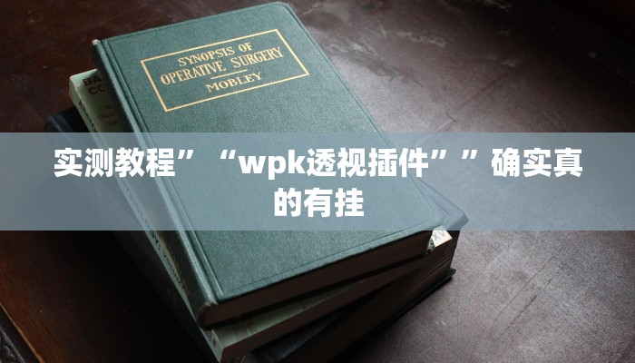 实测教程”“wpk透视插件””确实真的有挂