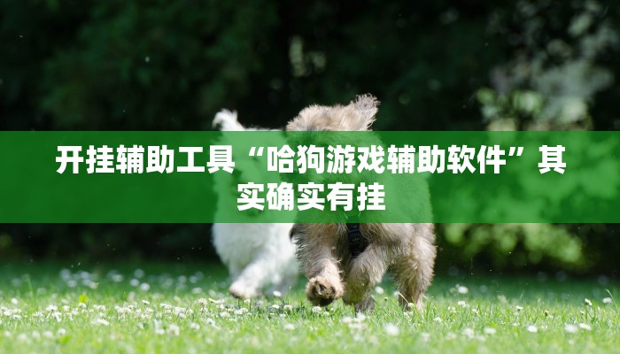 辅助神器“永赢棋牌开挂神器”详细开挂教程