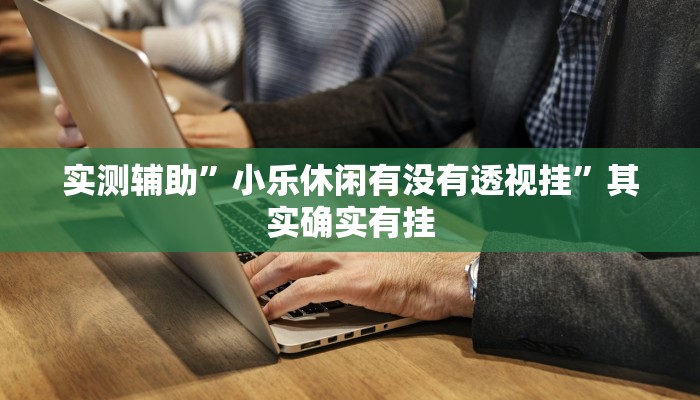 实测辅助”小乐休闲有没有透视挂”其实确实有挂