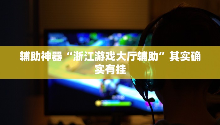 辅助神器“浙江游戏大厅辅助”其实确实有挂