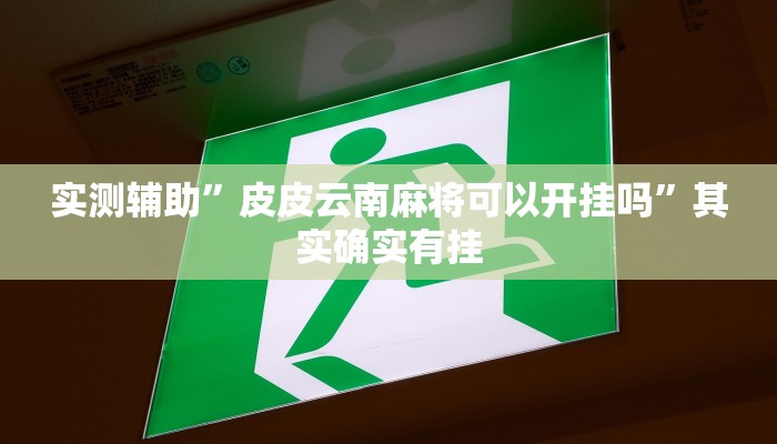 实测辅助”皮皮云南麻将可以开挂吗”其实确实有挂