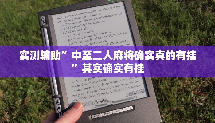 实测辅助”中至二人麻将确实真的有挂”其实确实有挂