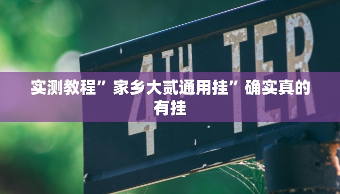 实测教程”家乡大贰通用挂”确实真的有挂
