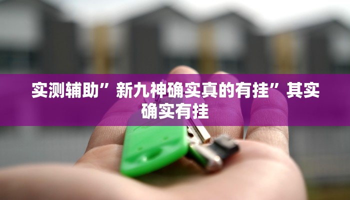 实测辅助”新九神确实真的有挂”其实确实有挂