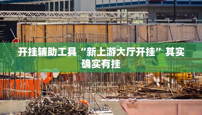 开挂辅助工具“新上游大厅开挂”其实确实有挂
