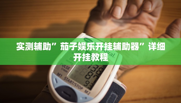 实测辅助”茄子娱乐开挂辅助器”详细开挂教程