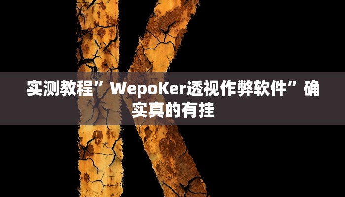 实测教程”WepoKer透视作弊软件”确实真的有挂