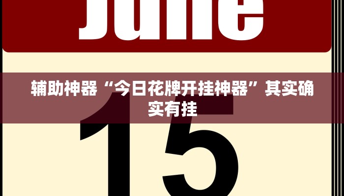 辅助神器“今日花牌开挂神器”其实确实有挂