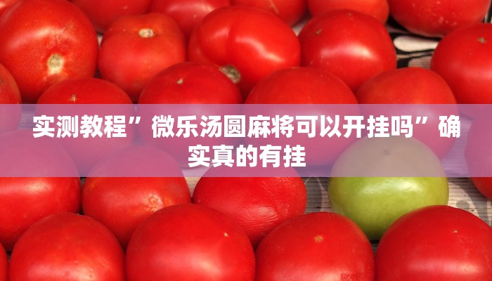 实测教程”微乐汤圆麻将可以开挂吗”确实真的有挂
