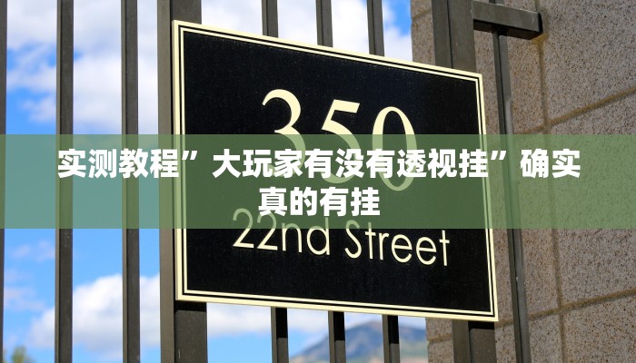 实测教程”大玩家有没有透视挂”确实真的有挂