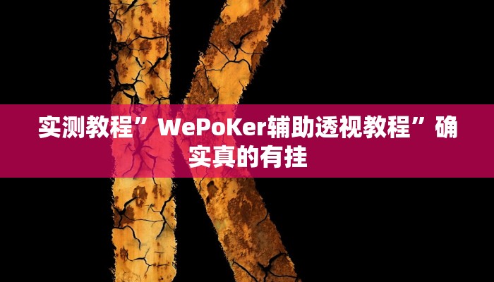 实测教程”WePoKer辅助透视教程”确实真的有挂
