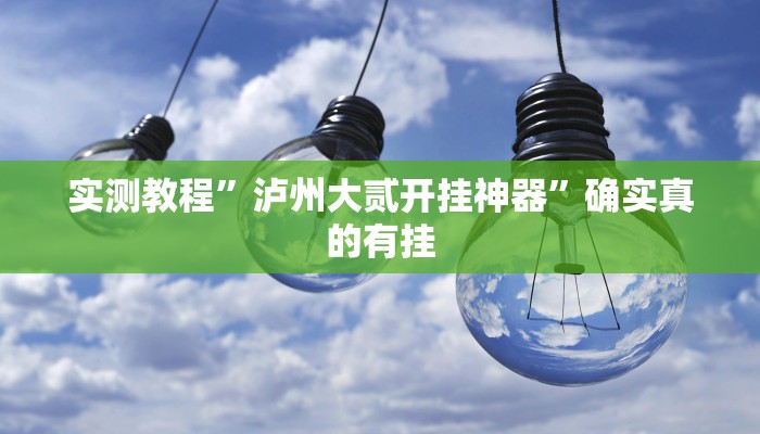 实测教程”泸州大贰开挂神器”确实真的有挂