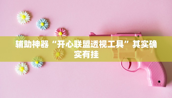 辅助神器“开心联盟透视工具”其实确实有挂