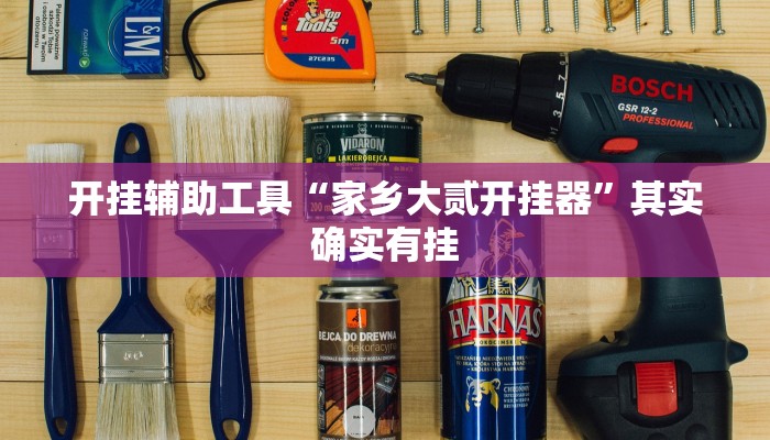 开挂辅助工具“家乡大贰开挂器”其实确实有挂