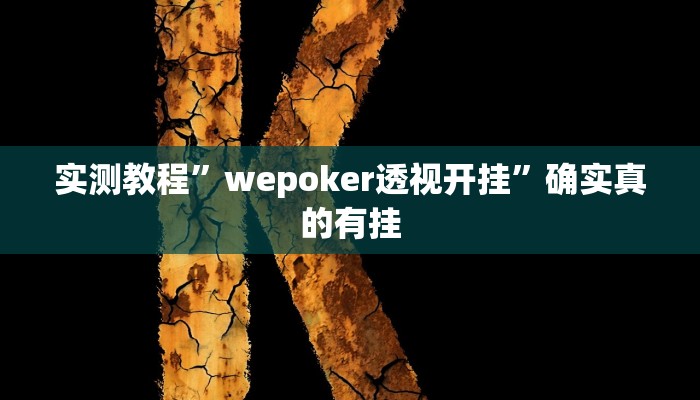 实测教程”wepoker透视开挂”确实真的有挂
