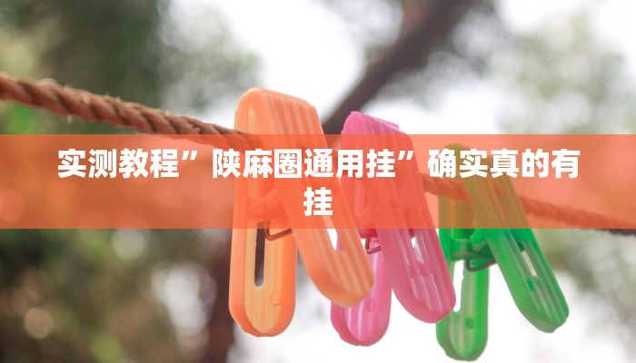 实测教程”陕麻圈通用挂”确实真的有挂