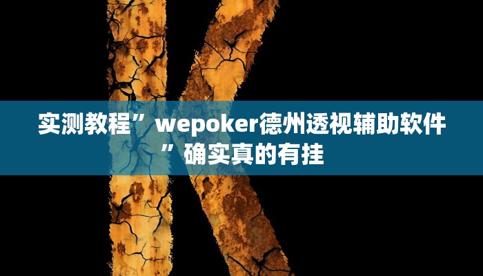 实测教程”wepoker德州透视辅助软件”确实真的有挂
