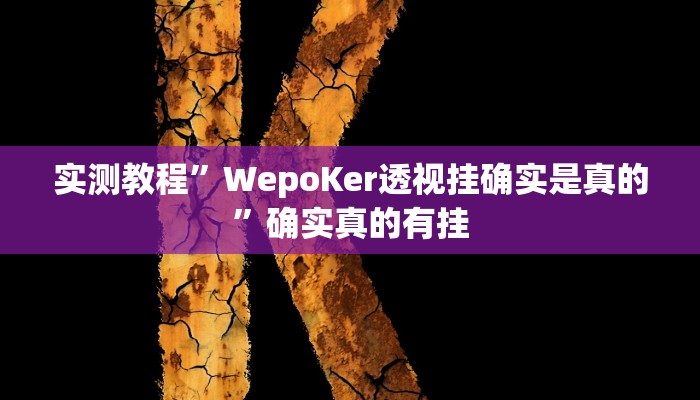 实测教程”WepoKer透视挂确实是真的”确实真的有挂