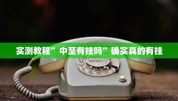 实测教程”中至有挂吗”确实真的有挂