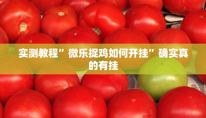 实测教程”微乐捉鸡如何开挂”确实真的有挂