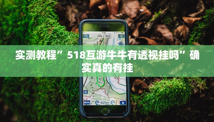 实测教程”518互游牛牛有透视挂吗”确实真的有挂