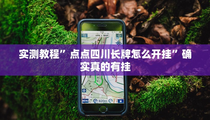 实测教程”点点四川长牌怎么开挂”确实真的有挂