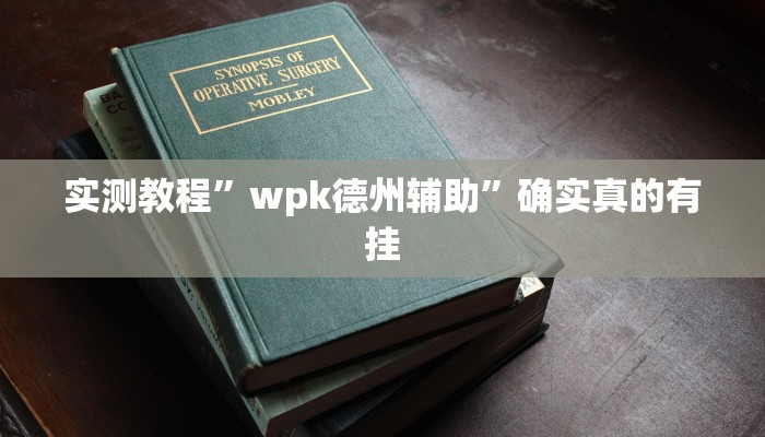 实测教程”wpk德州辅助”确实真的有挂