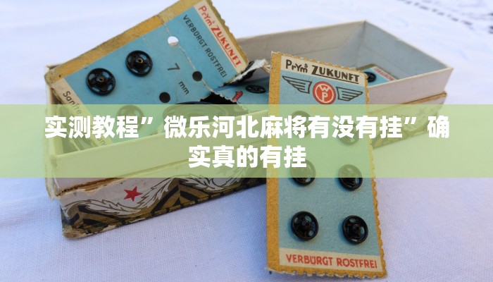 实测教程”微乐河北麻将有没有挂”确实真的有挂