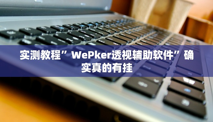 实测教程”WePker透视辅助软件”确实真的有挂