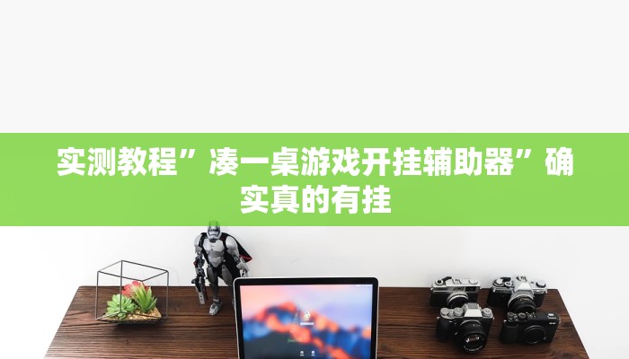 实测教程”凑一桌游戏开挂辅助器”确实真的有挂