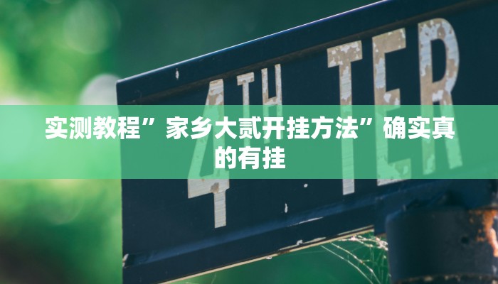 实测教程”家乡大贰开挂方法”确实真的有挂