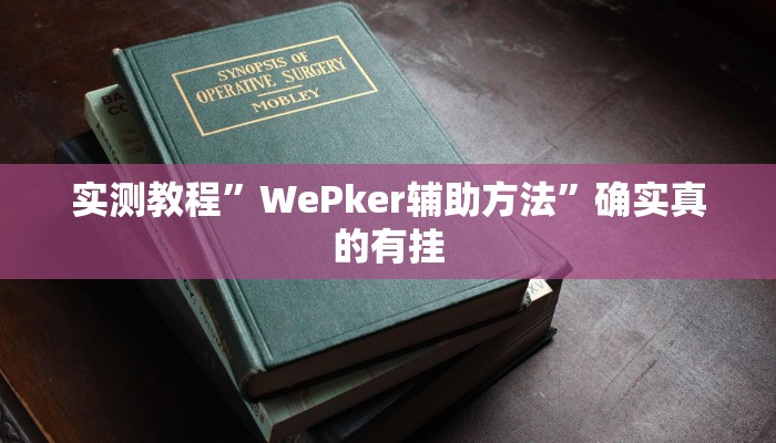 实测教程”WePker辅助方法”确实真的有挂