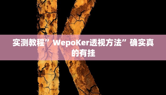 实测教程”WepoKer透视方法”确实真的有挂