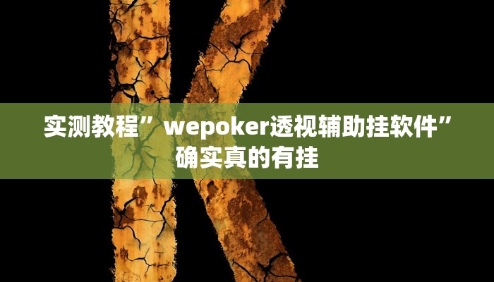 实测教程”wepoker透视辅助挂软件”确实真的有挂