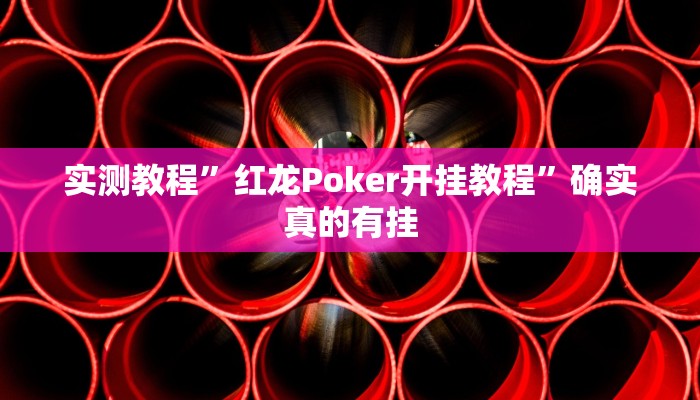 实测教程”红龙Poker开挂教程”确实真的有挂