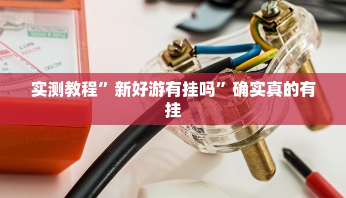 实测教程”新好游有挂吗”确实真的有挂
