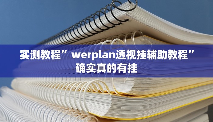 实测教程”werplan透视挂辅助教程”确实真的有挂