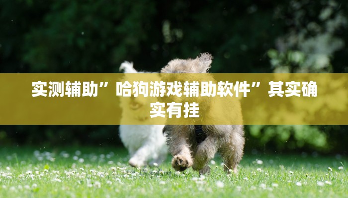 实测辅助”哈狗游戏辅助软件”其实确实有挂