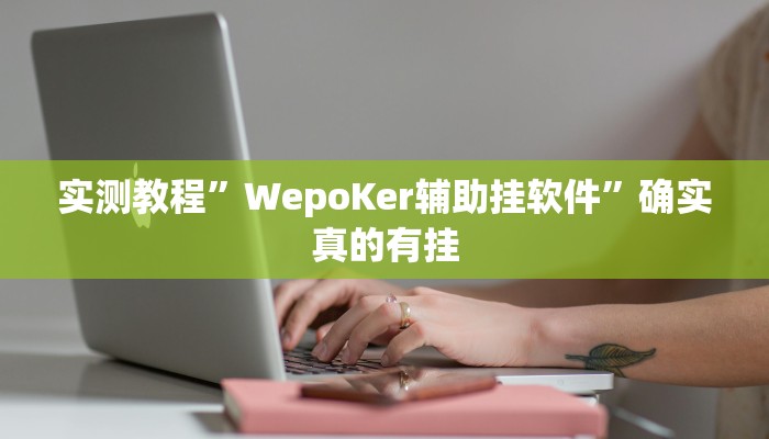 实测教程”WepoKer辅助挂软件”确实真的有挂