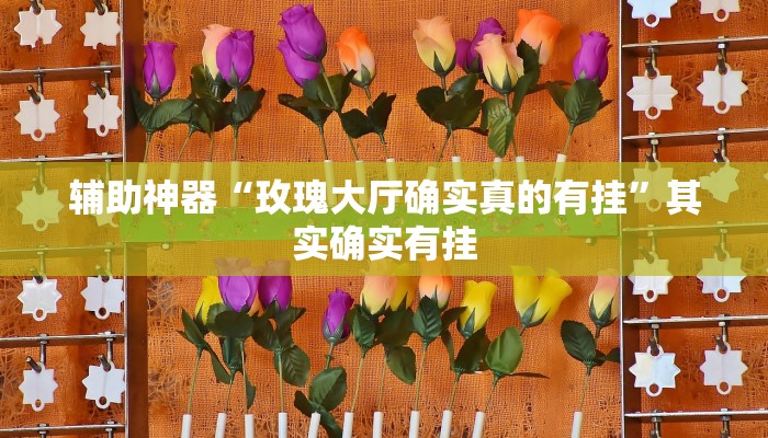 辅助神器“玫瑰大厅确实真的有挂”其实确实有挂