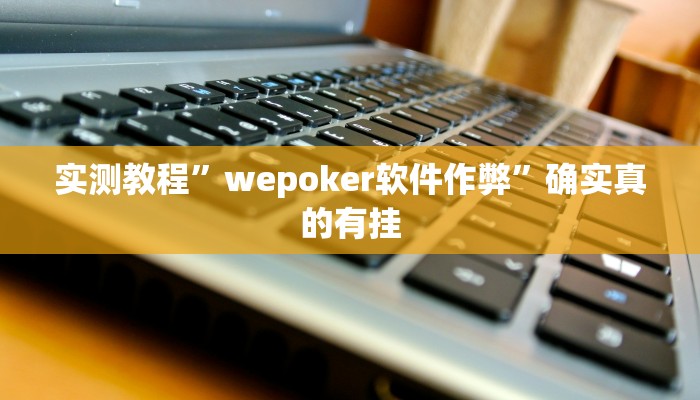 实测教程”wepoker软件作弊”确实真的有挂